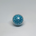 The D100